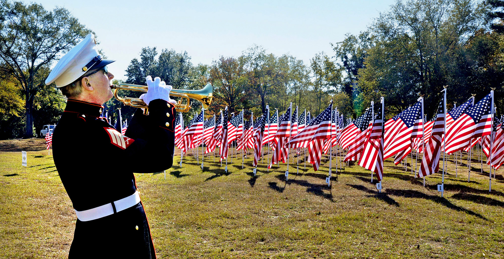 Veterans Day Events 2024 The Seven Lakes Insider