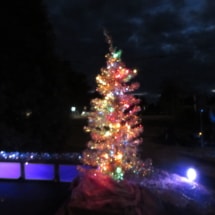 christmas tree seven lakes lighting