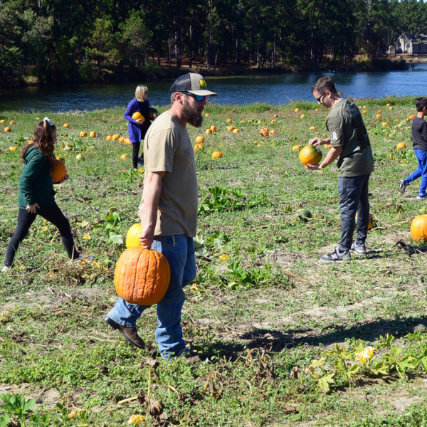 The pumpkin patch at Kalawi Farm in Eagle Springs. Ted Fitzgerald/The Pilot