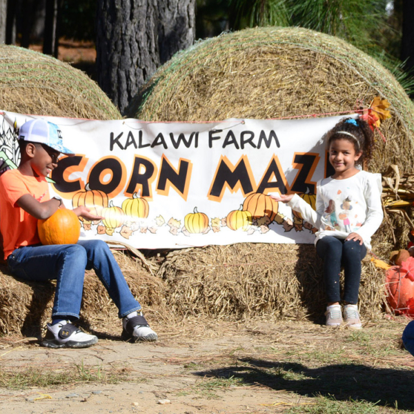 Kalawi Farm Fall Fest 10