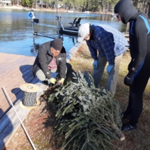 Preparing Trees To Go Under Dock