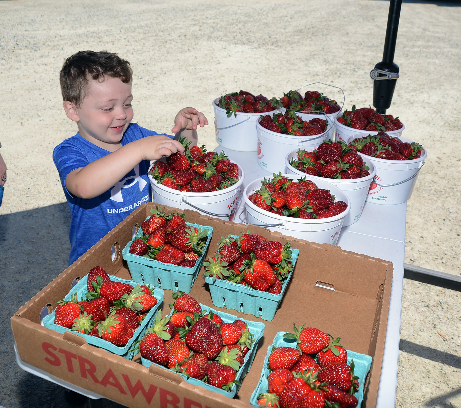 Farmers Seek Return to Familiar - The Seven Lakes Insider