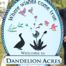 dandelion acres 1