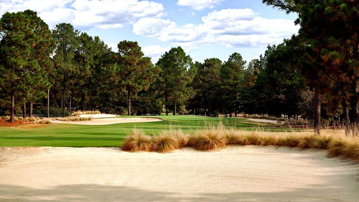 FoxFire Golf - Choose Your Greens - The Seven Lakes Insider